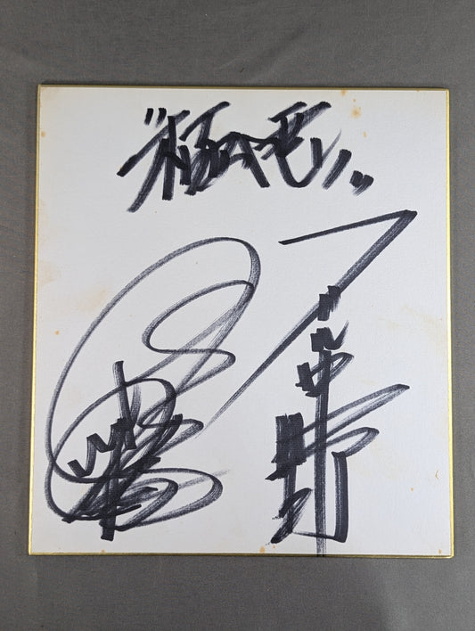 ★ ★ Gokuaku Domei Dump Matsumoto & Bull Nakano