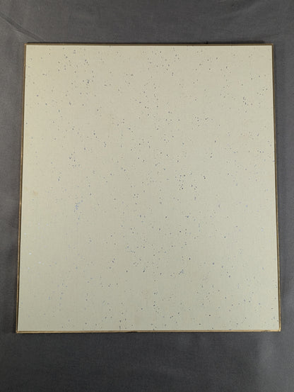 Nobuhiko Takada (UWF)