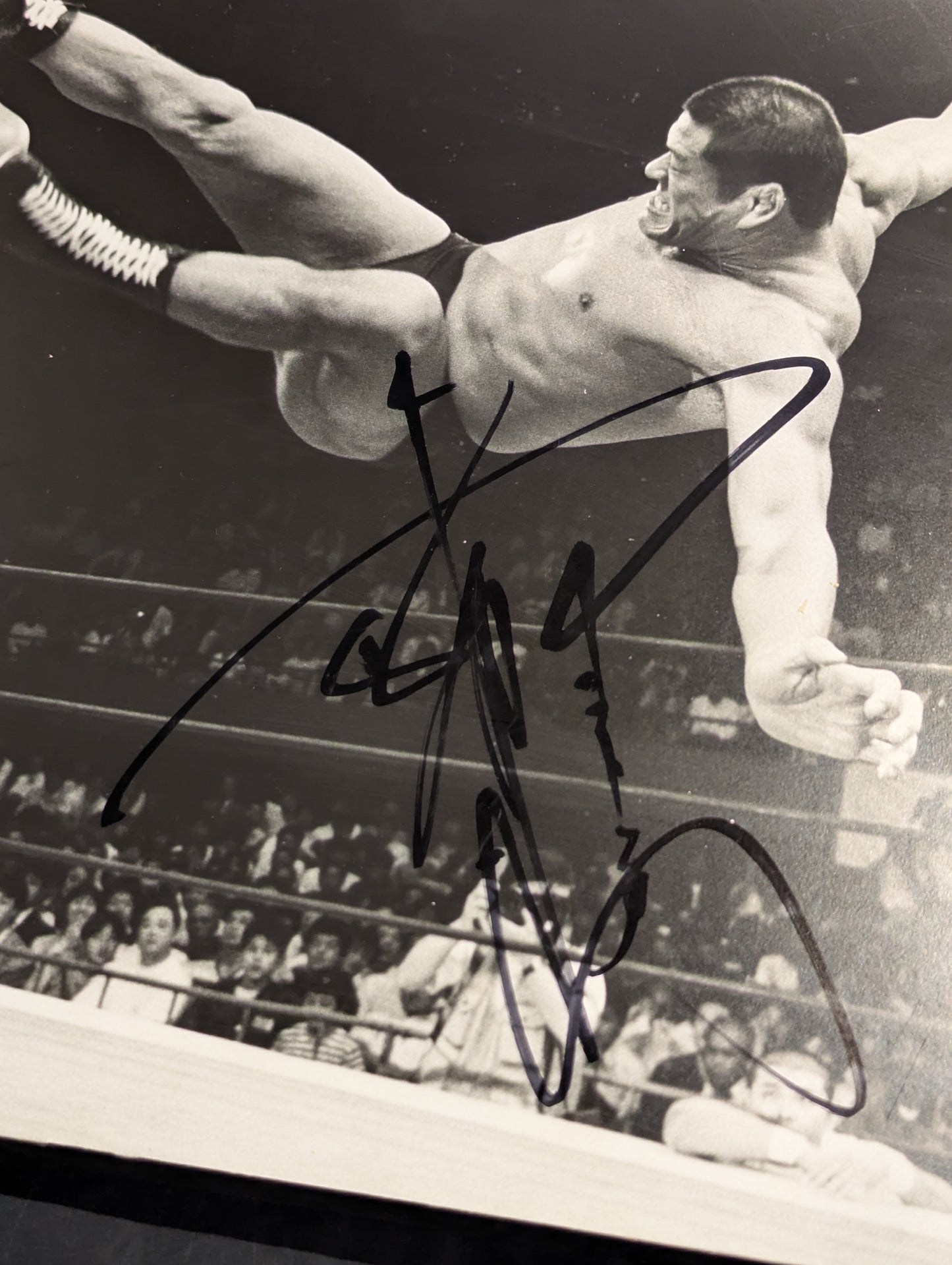 【hand signed autograph】 Antonio Inoki  vs Seiji Sakaguchi Black and White Grand Judge Photo panel