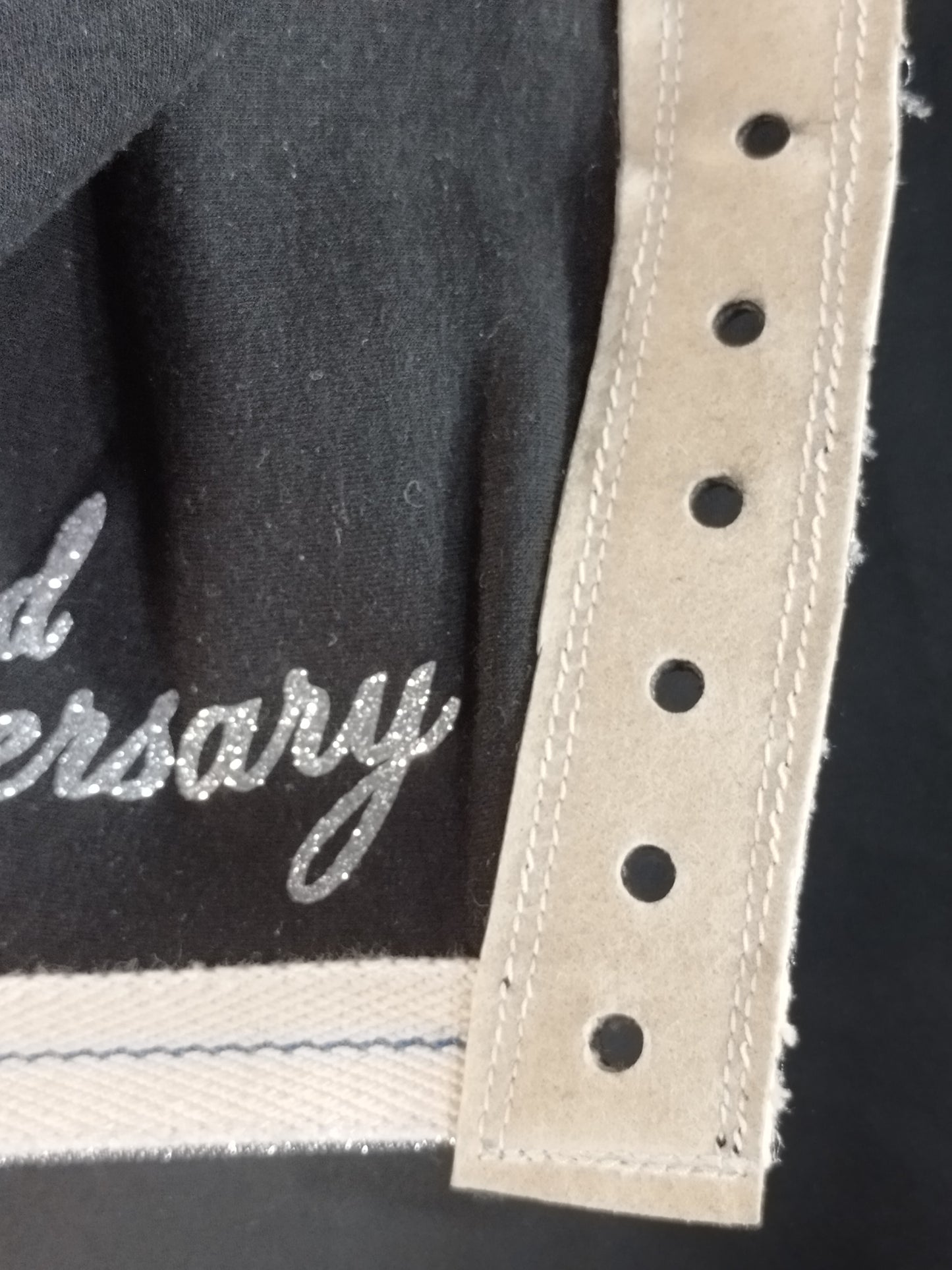 The Cobra ★ 42nd Anniversary Limited Mask ★