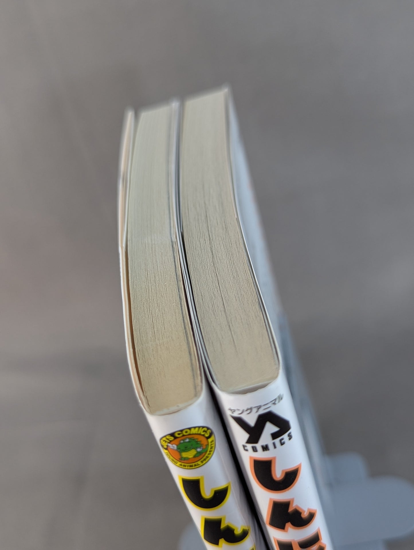 [2 volumes set] Shinnichi!