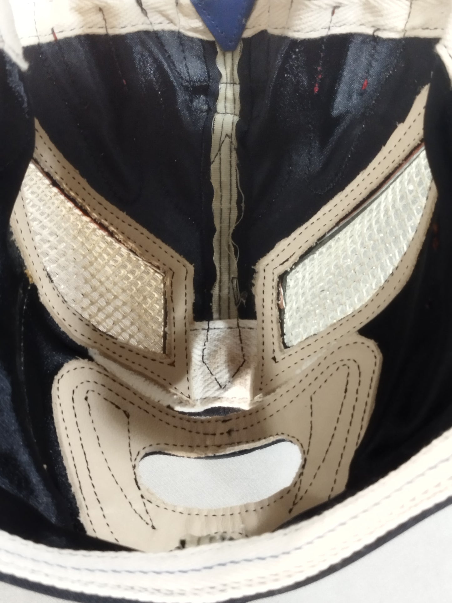 獣神サンダー・ライガー