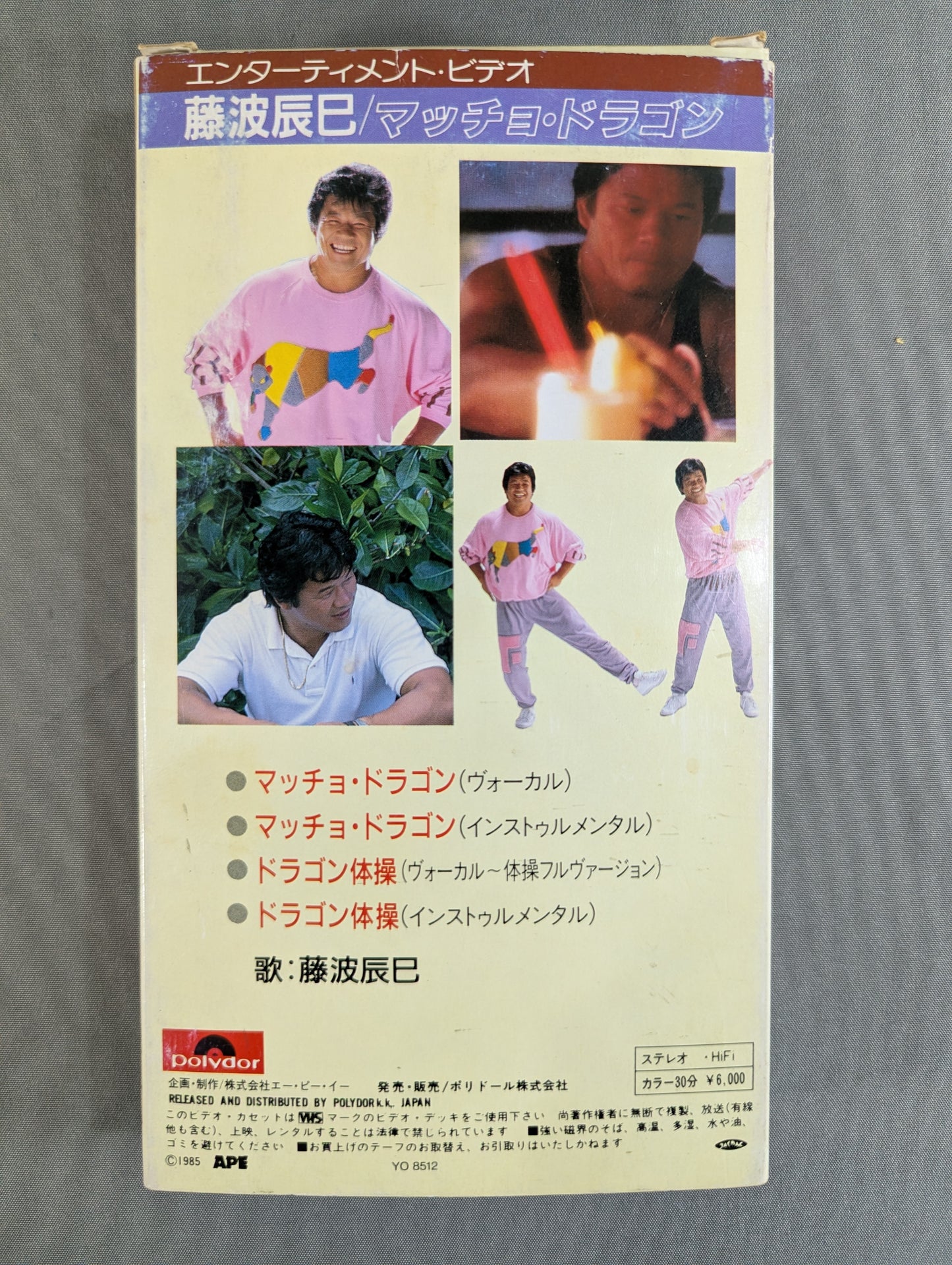 ★ Entertainment Video ★ Tatsumi Fujinami Macho Dragon