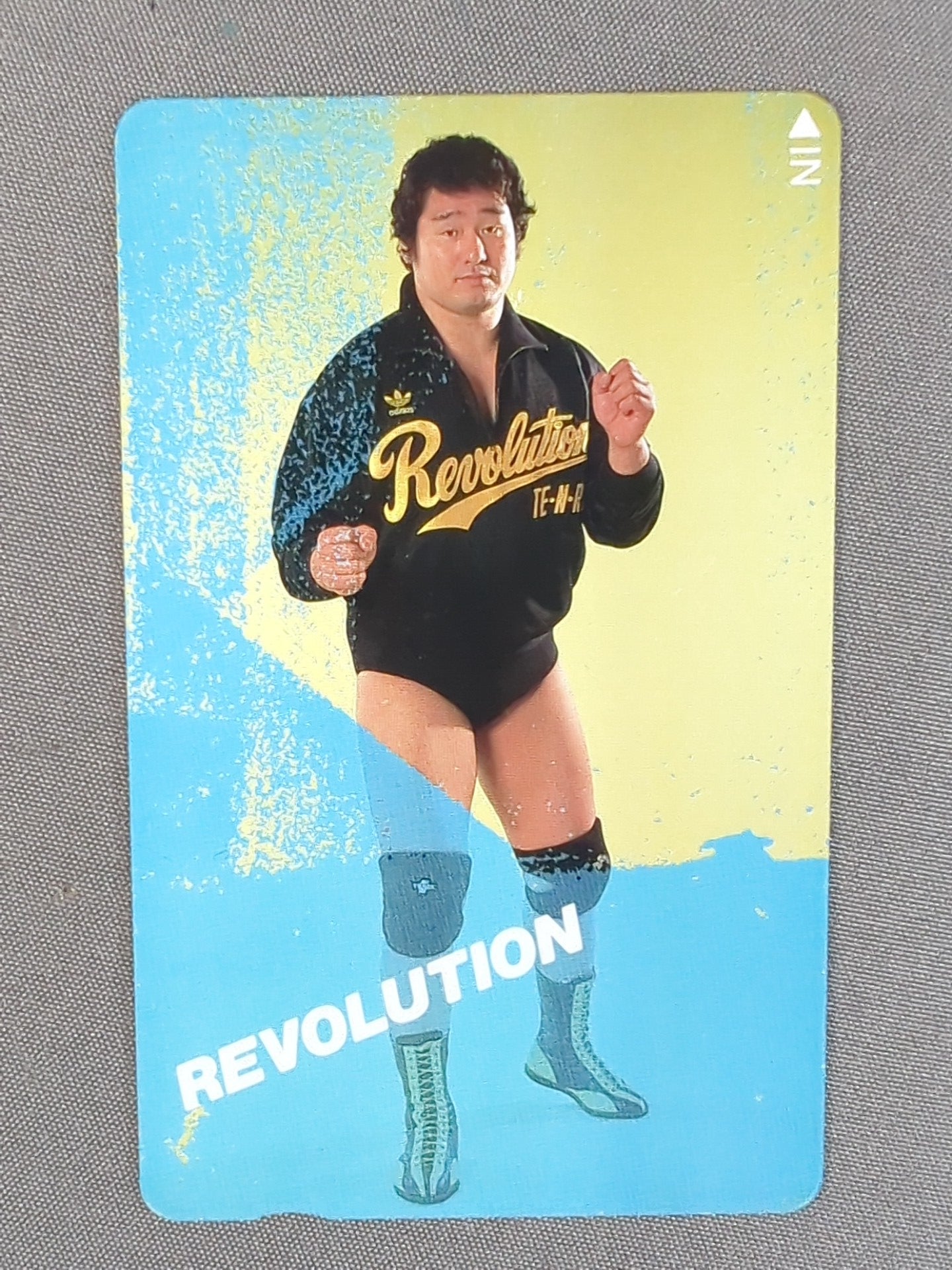 天龍源一郎 REVOLUTION