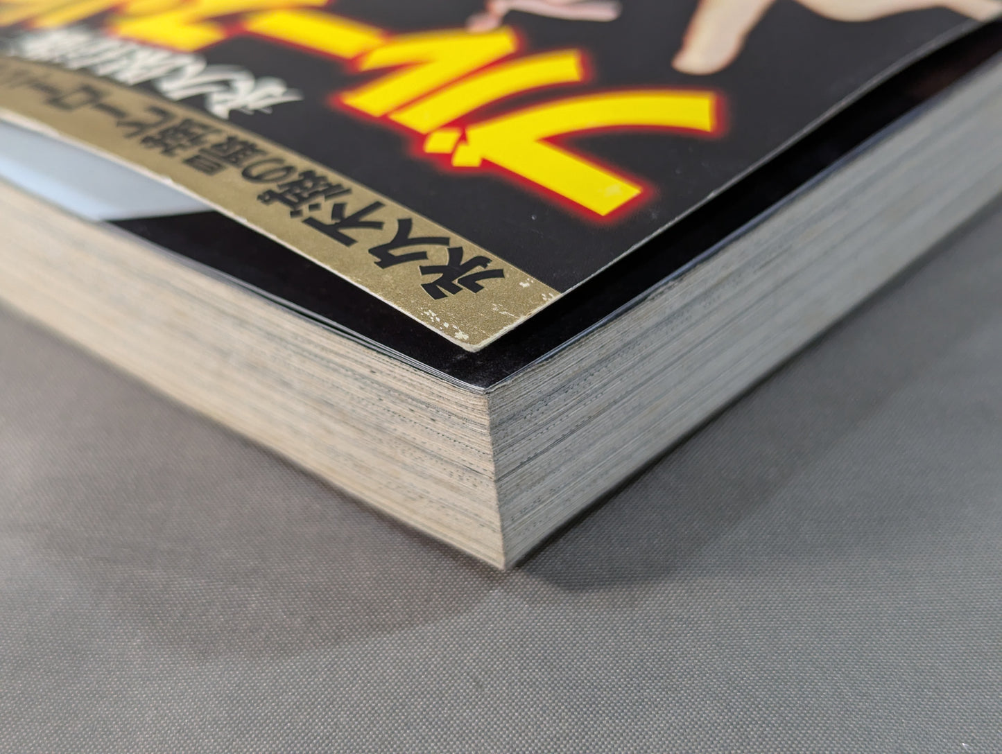 Permanently preserved edition The Bruce Lee  story