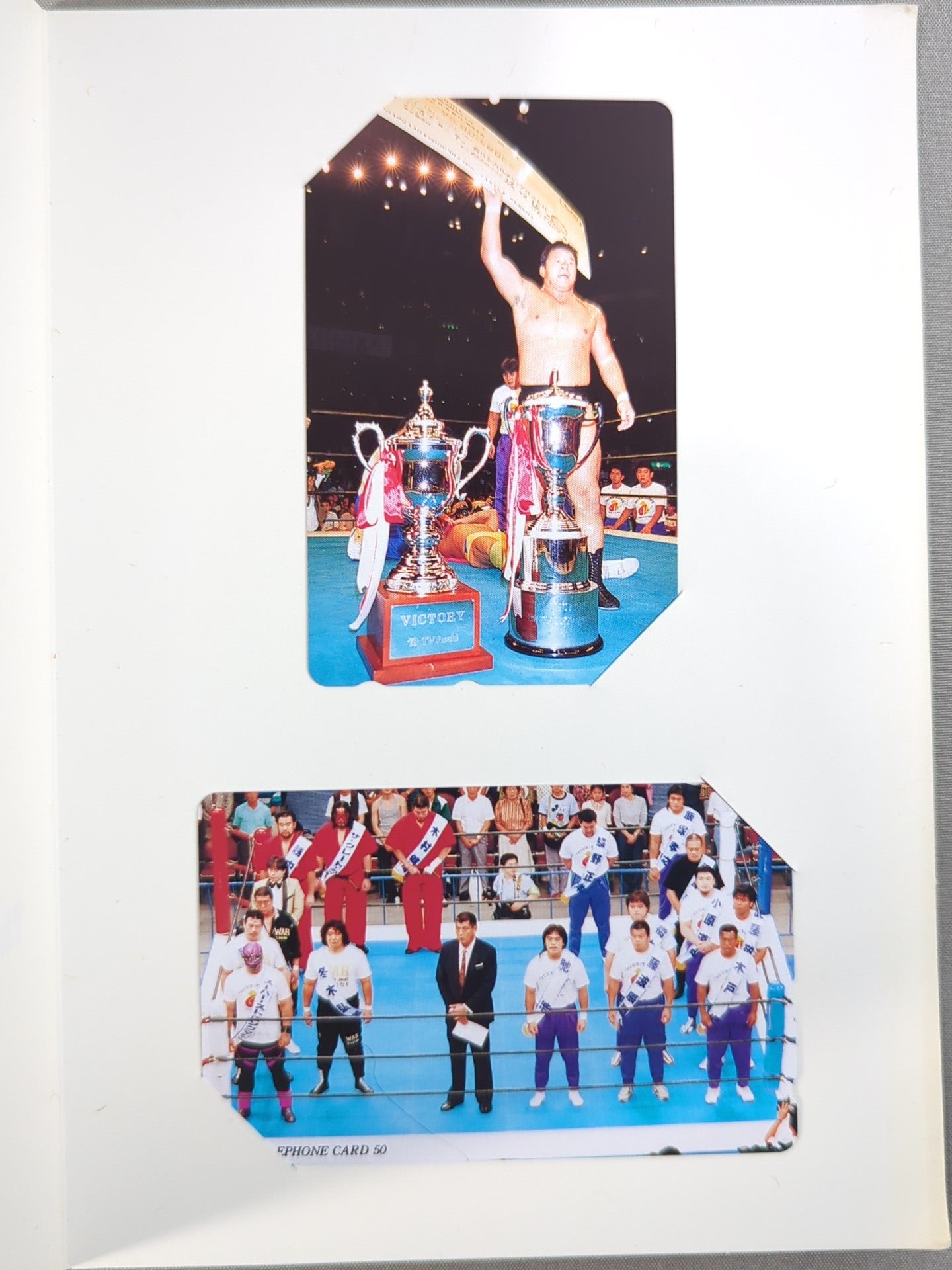 Tatsumi Fujinami  The Champion in memory of The G1 Climax Tournament '93