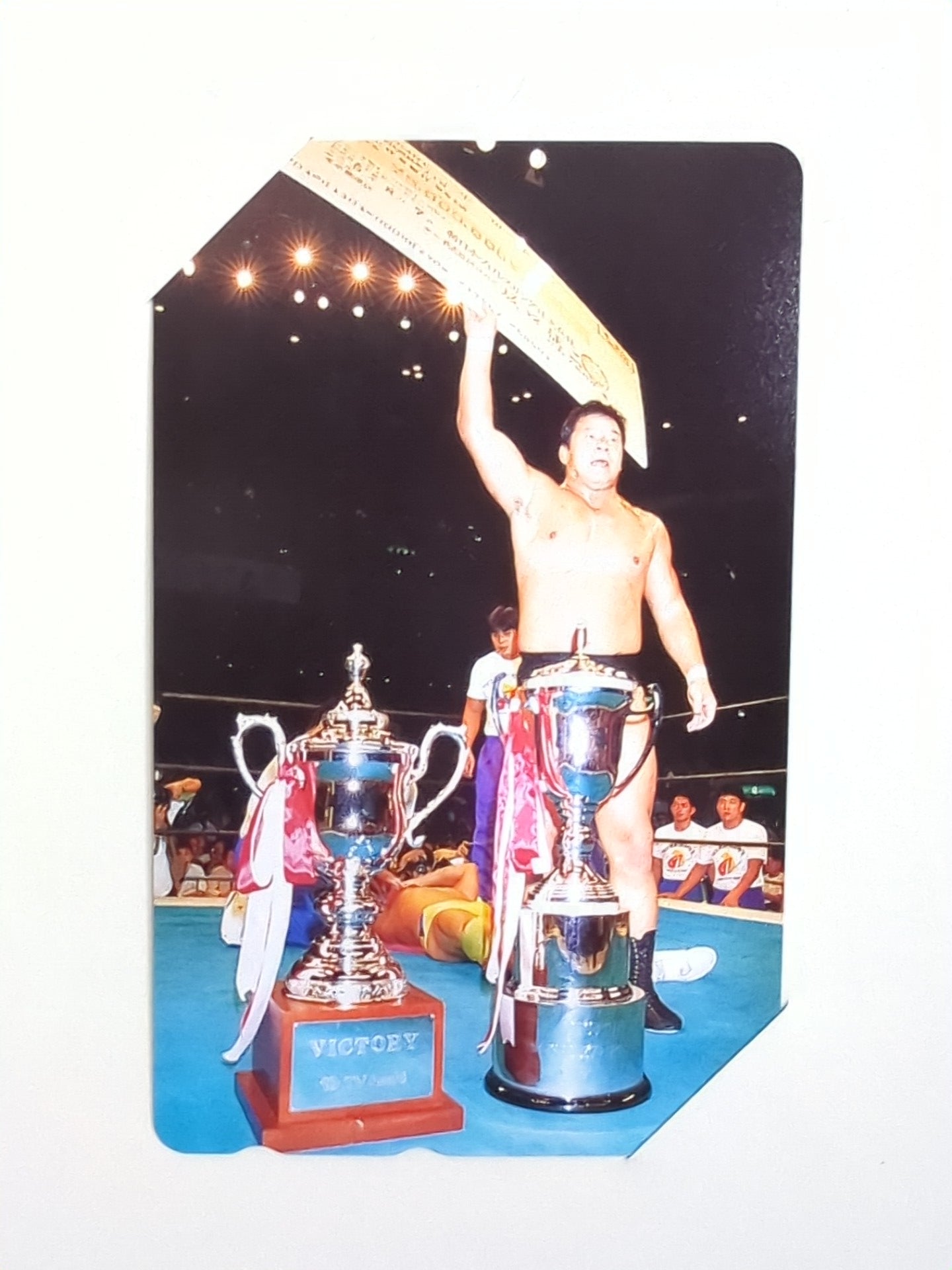 Tatsumi Fujinami  The Champion in memory of The G1 Climax Tournament '93