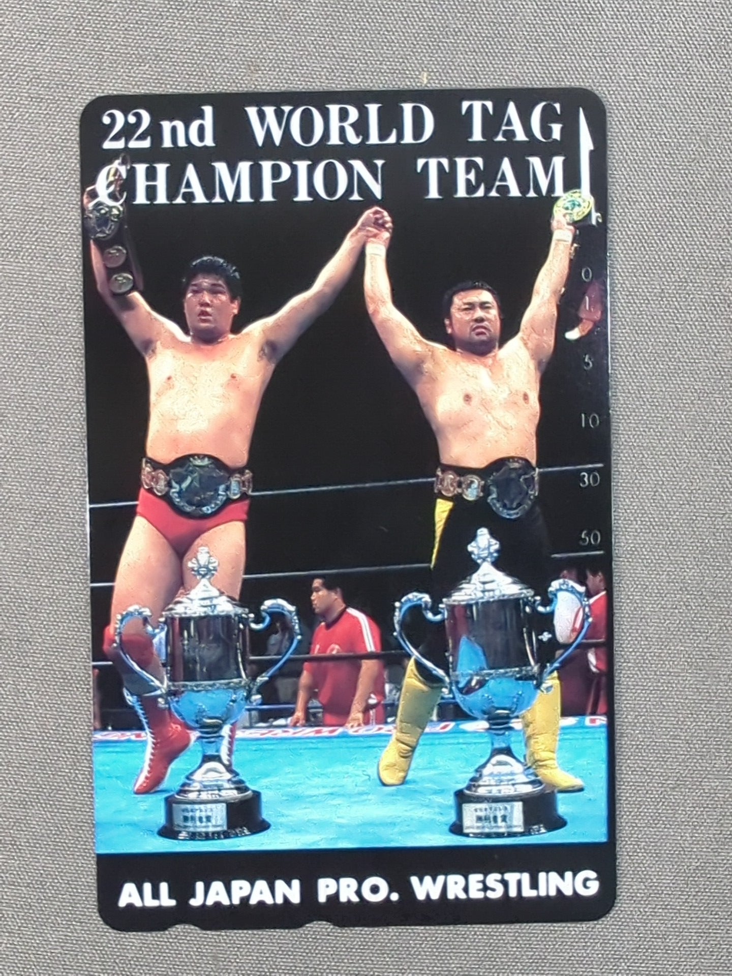 川田利明＆田上明 22nd WORLD TAG CHANPION TEAM