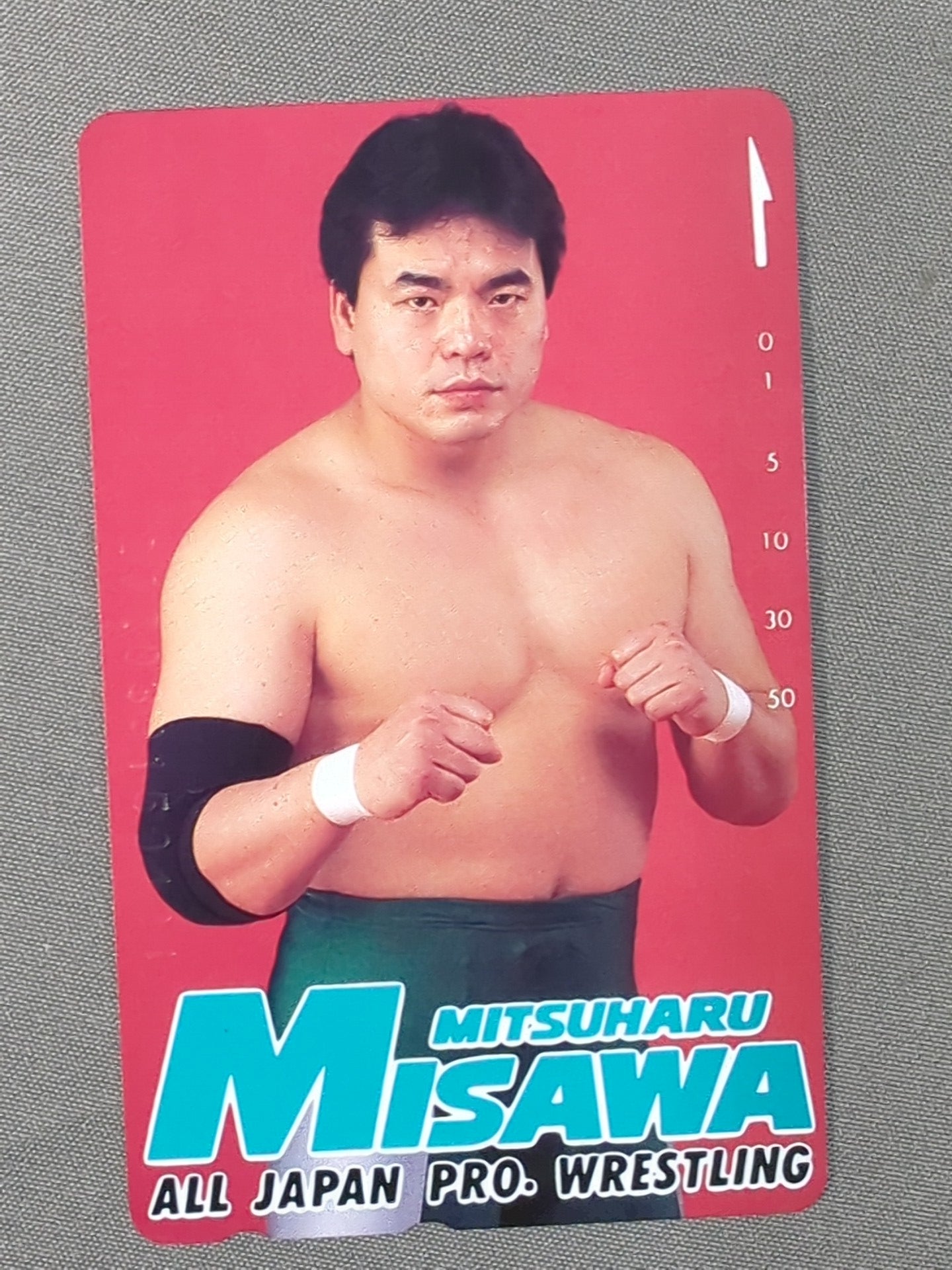 Mitsuharu Misawa (2)