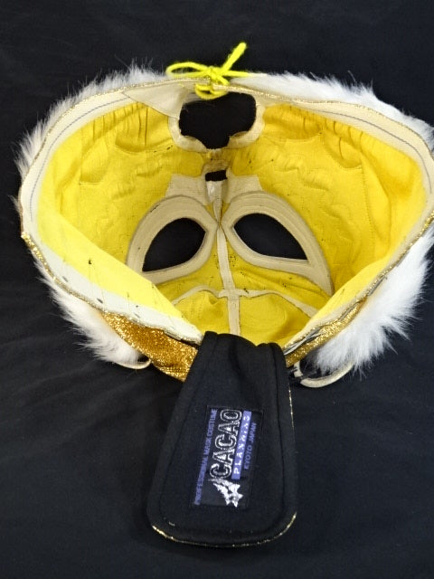 2代目タイガーマスク