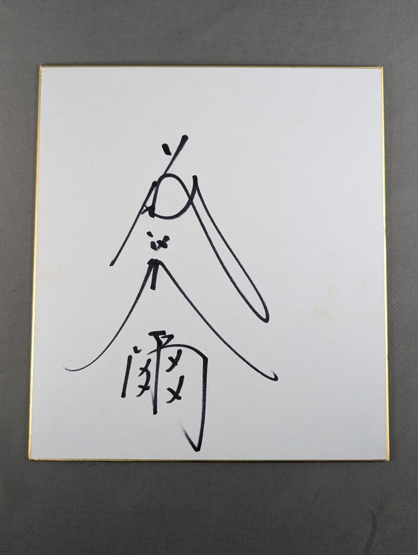 Tatsumi Fujinami 