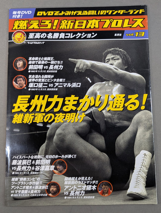 Burn! New Japan Pro Wrestling  vol.13