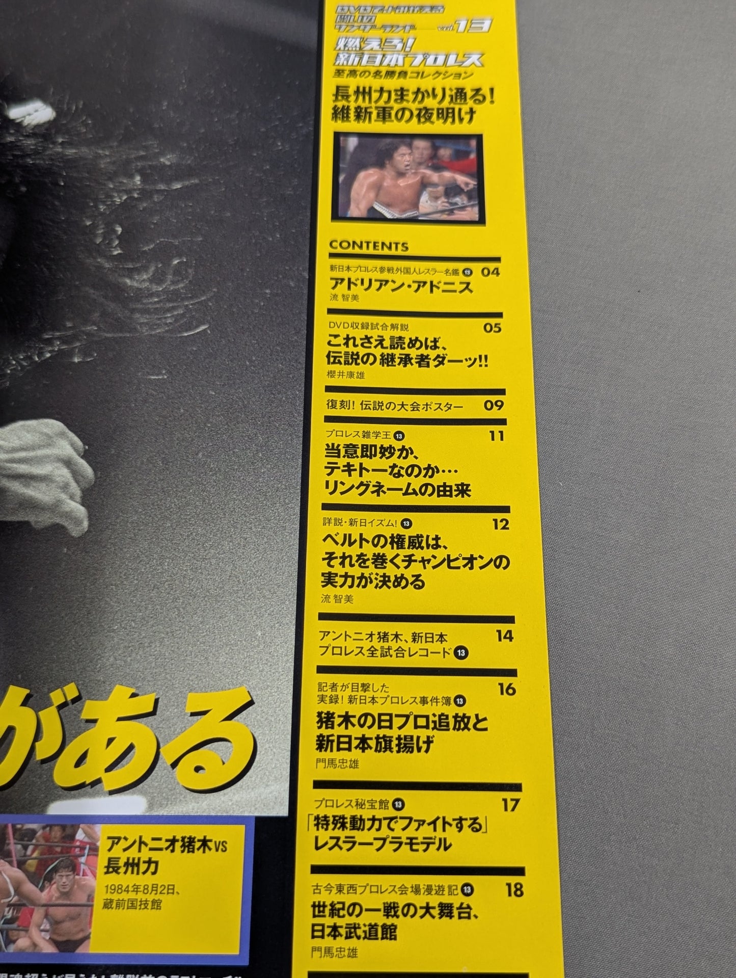 Burn! New Japan Pro Wrestling  vol.13