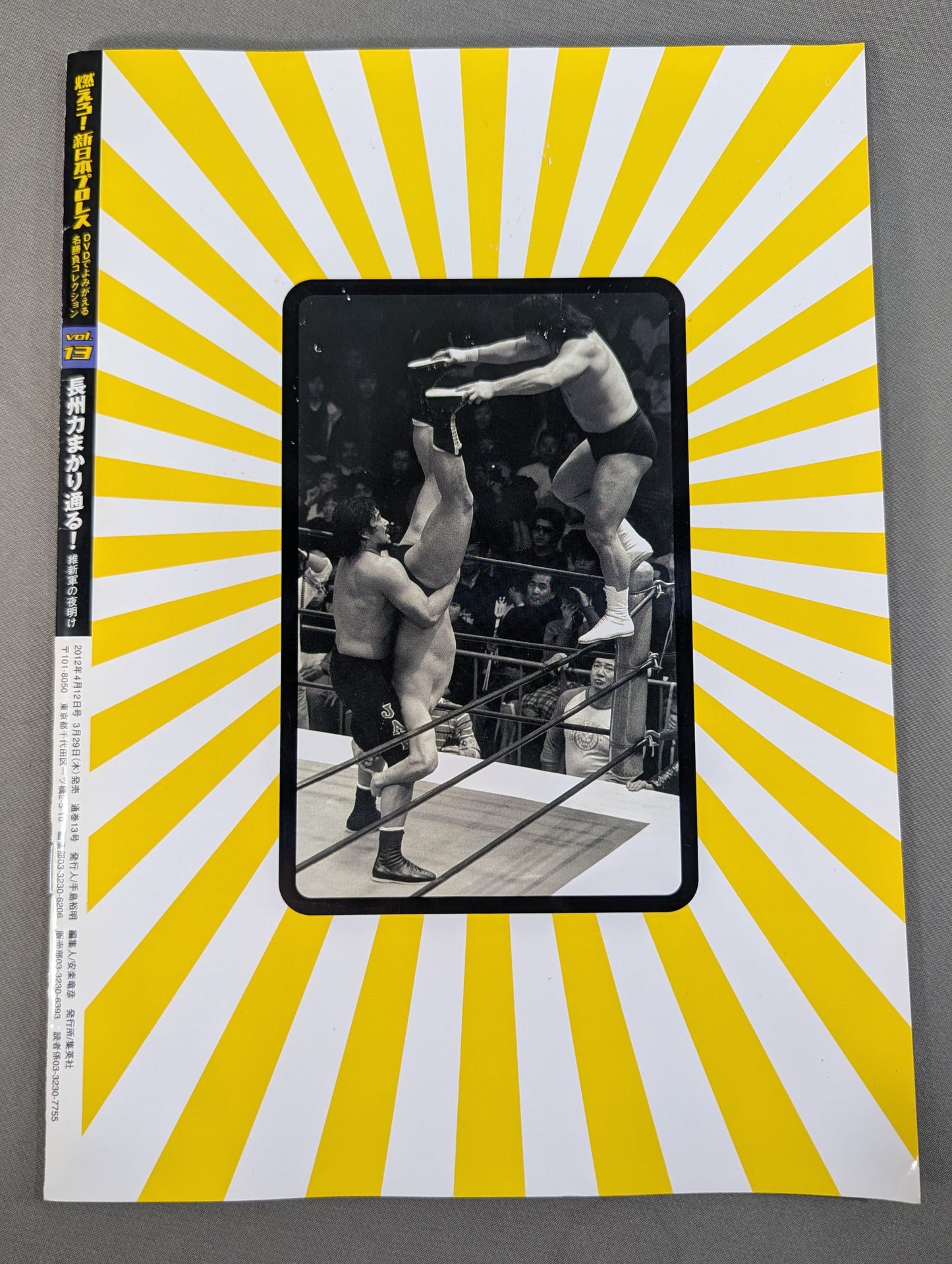 Burn! New Japan Pro Wrestling  vol.13