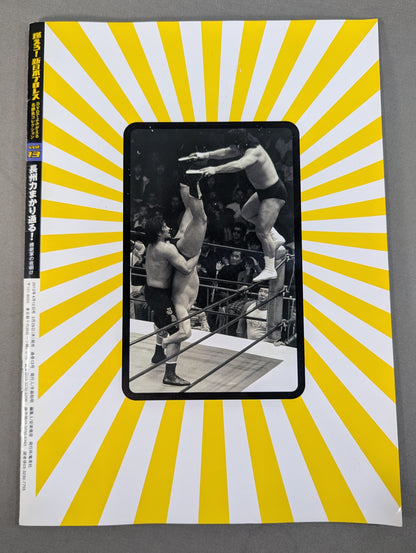 Burn! New Japan Pro Wrestling  vol.13