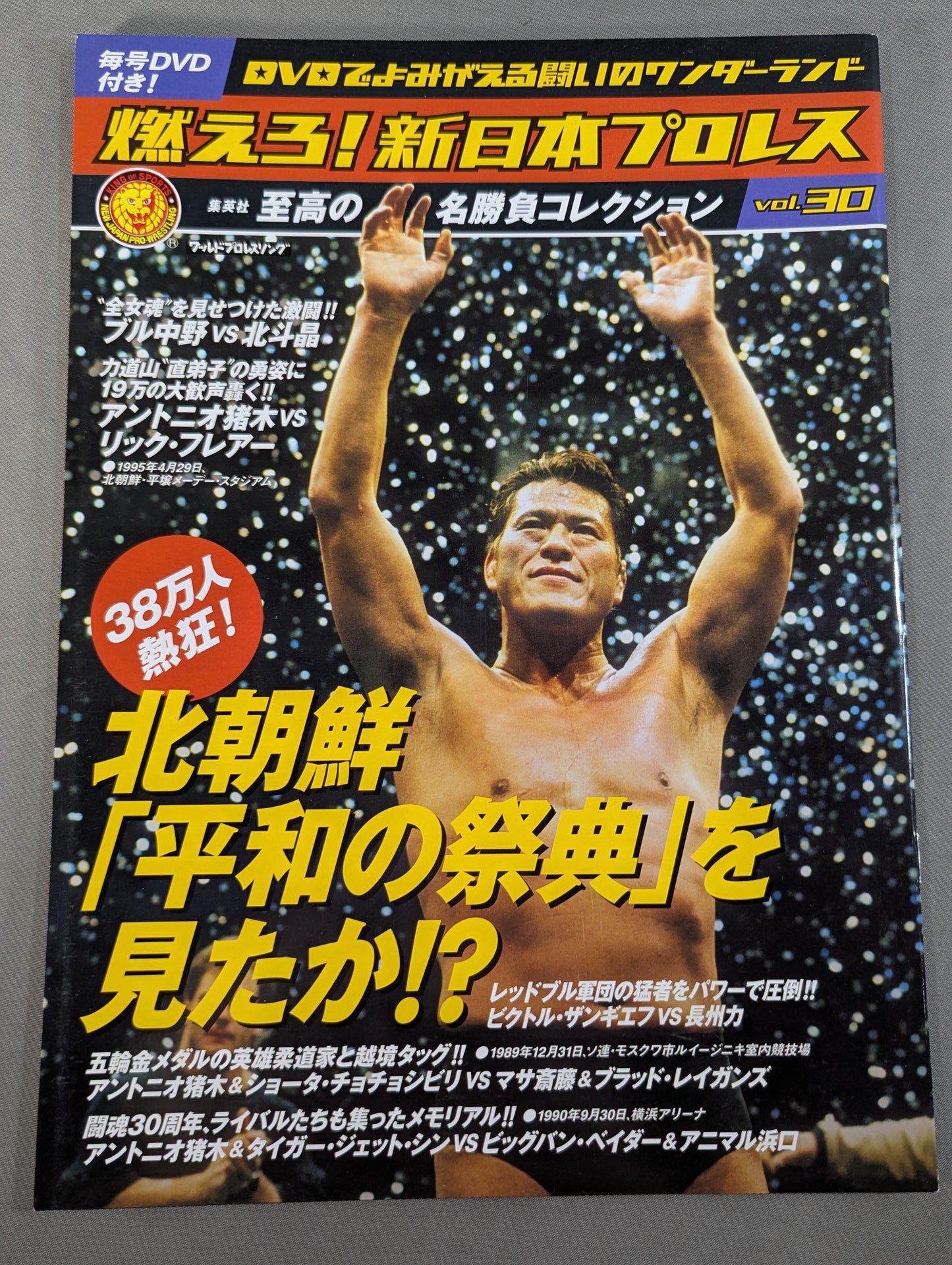 Burn! New Japan Pro Wrestling  vol.30