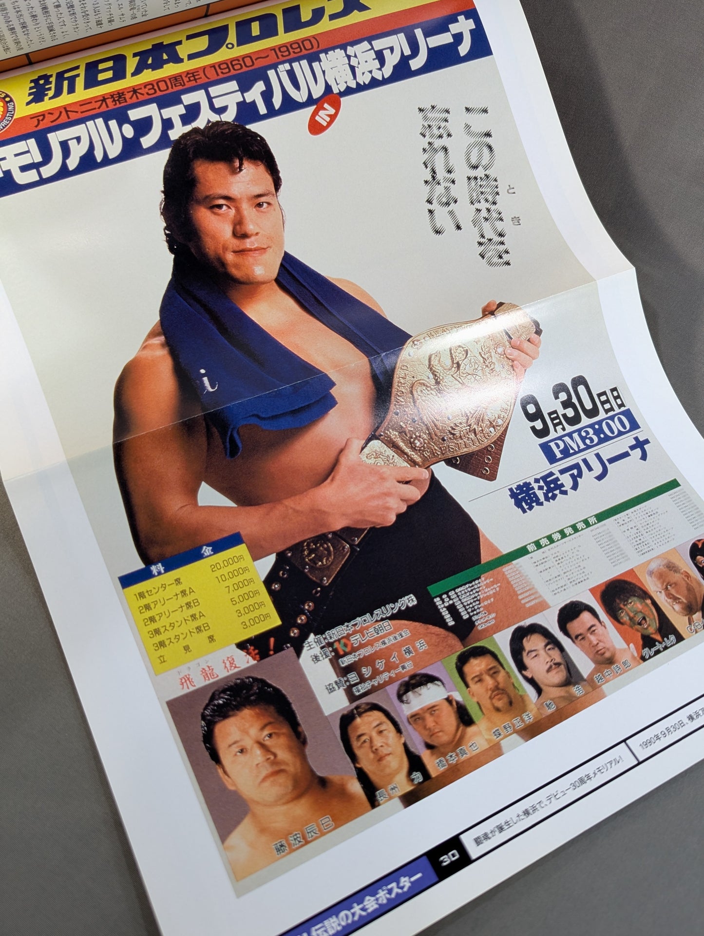 Burn! New Japan Pro Wrestling  vol.30