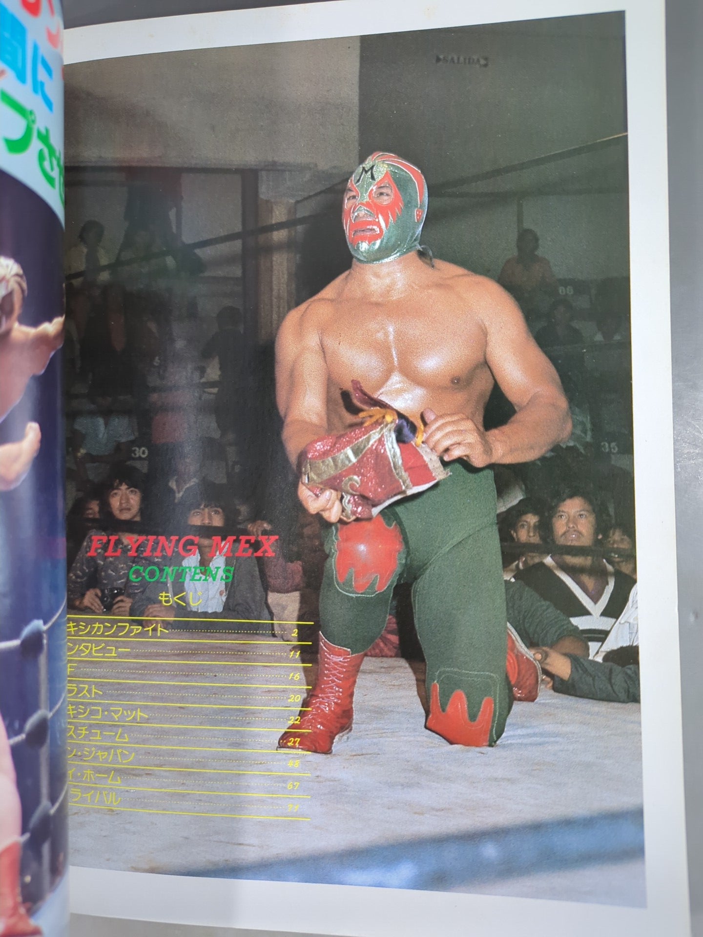 Pro Wrestling  Album 2 Mil Mascaras (2 brushes)