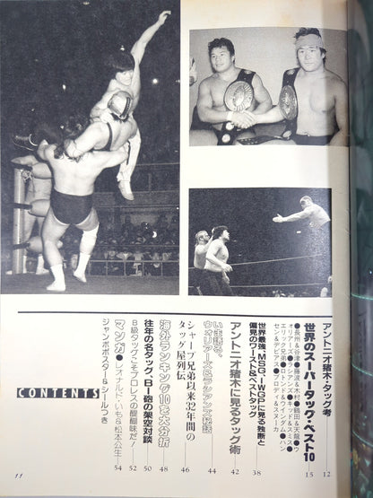 Pro Wrestling Album 65 This Must Be It! New Wave Tag Team