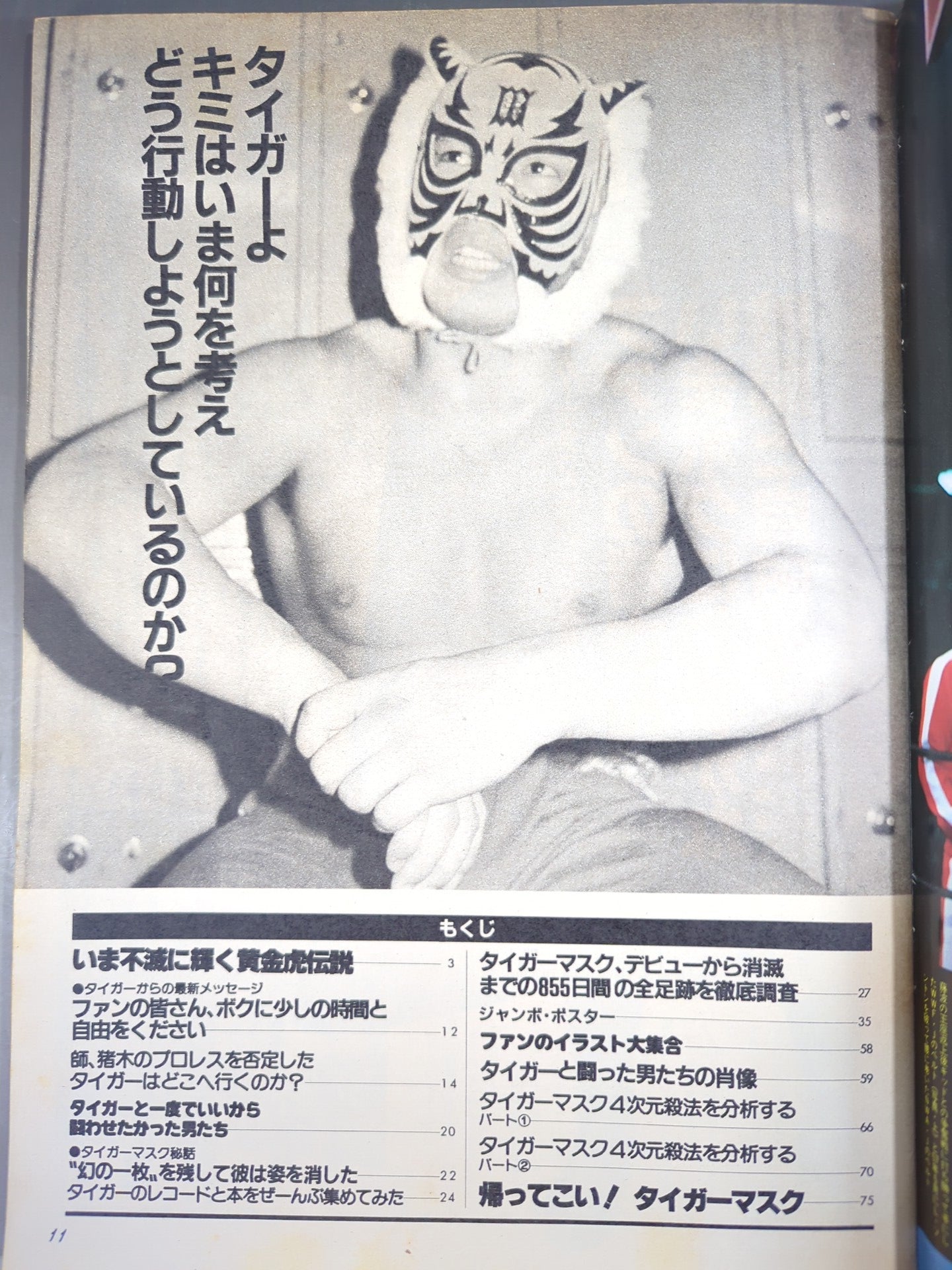Pro Wrestling  Album 38 Tiger Mask Forever