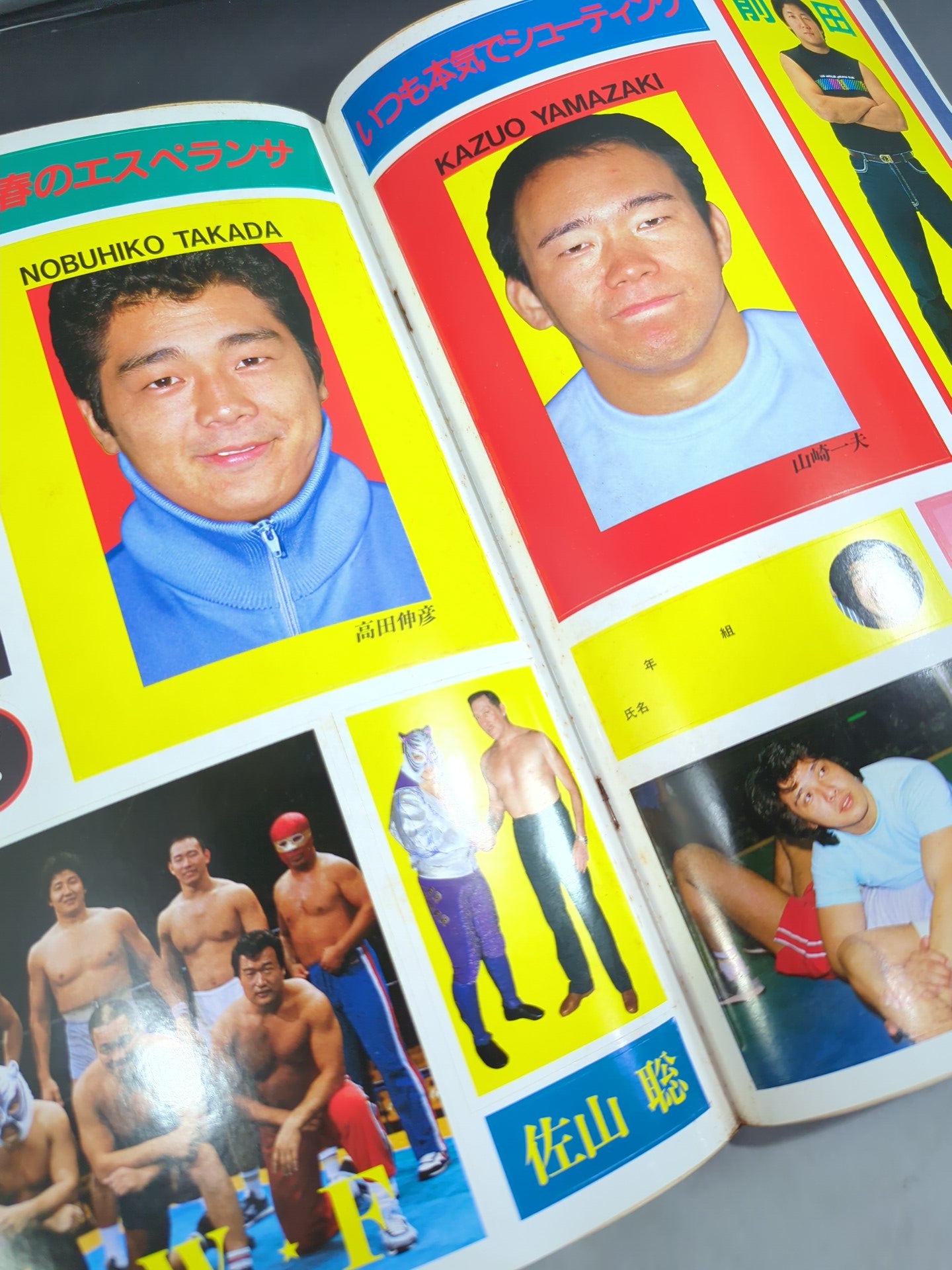 Pro Wrestling  Album 53 Always Serious Shooting