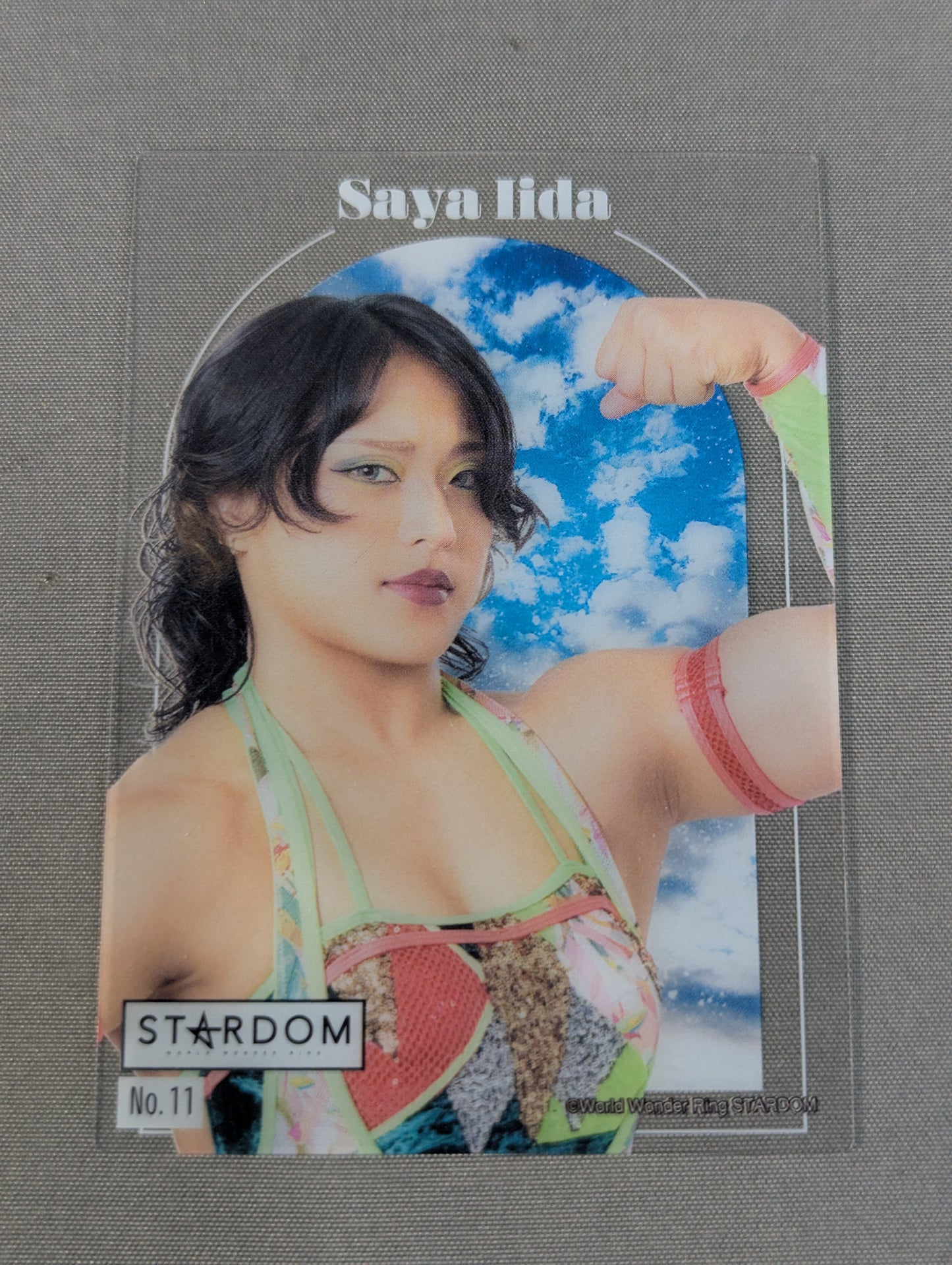 Saya Iida  Collection Clear Cards