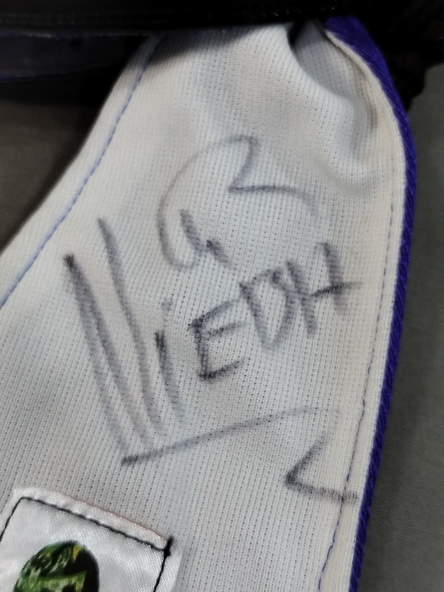 ミステル・ニエブラ