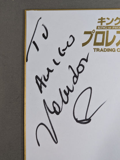 Volador Jr. & Carístico  (King of Pro-wrestling Shikishi ( Autograph board ) )