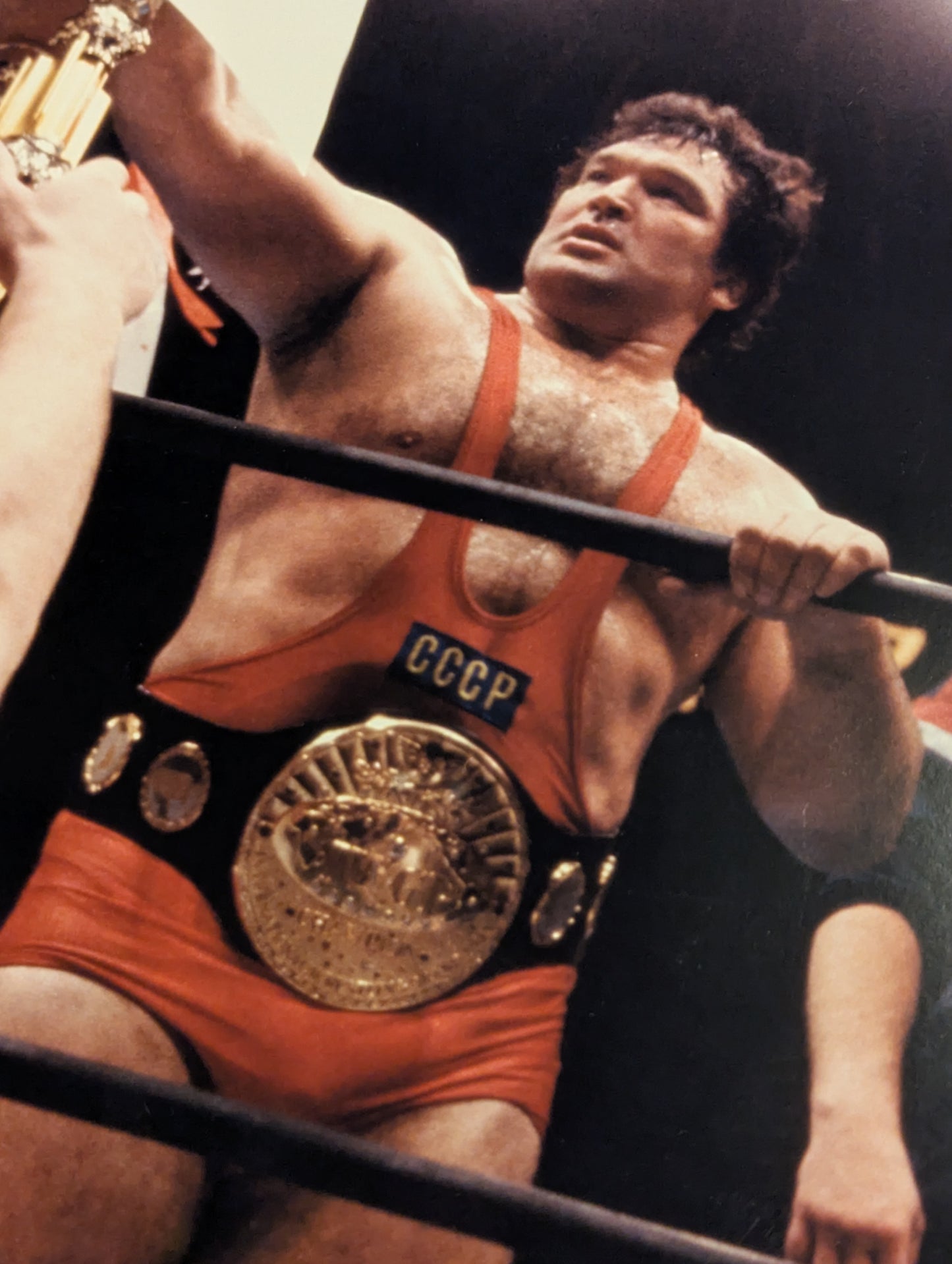 ★IWGP Heavy Champion ★ Salman Hashmikov Wooden Photo Panel