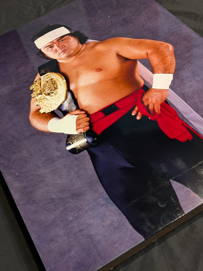 ★IWGP Heavy Champion ★ Shinya Hashimoto Wooden Photo panel