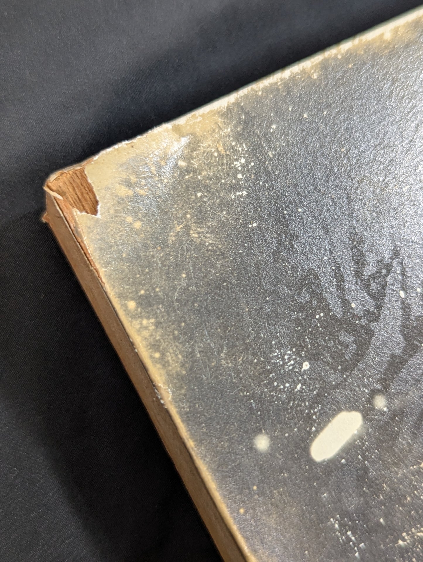 【hand signed autograph】 Antonio Inoki  Black and White Photo panel