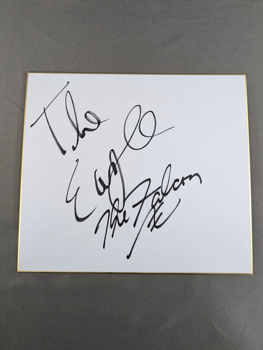 The Eagle & The Falcon