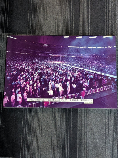1995 New Japan Pro Wrestling vsU Inter Tokyo Dome Large Wooden Photo panel