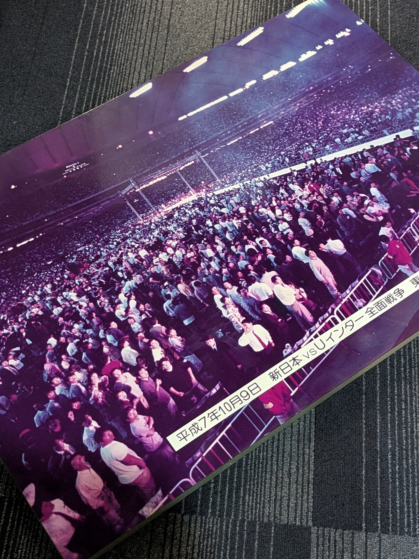 1995 New Japan Pro Wrestling vsU Inter Tokyo Dome Large Wooden Photo panel