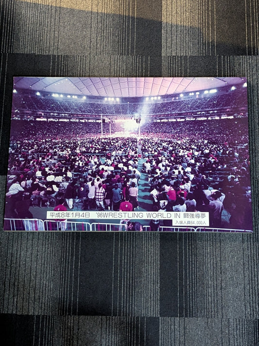 1996 Wrestling WORLD in Fighting Strong Dream Wooden Large Photo Panel