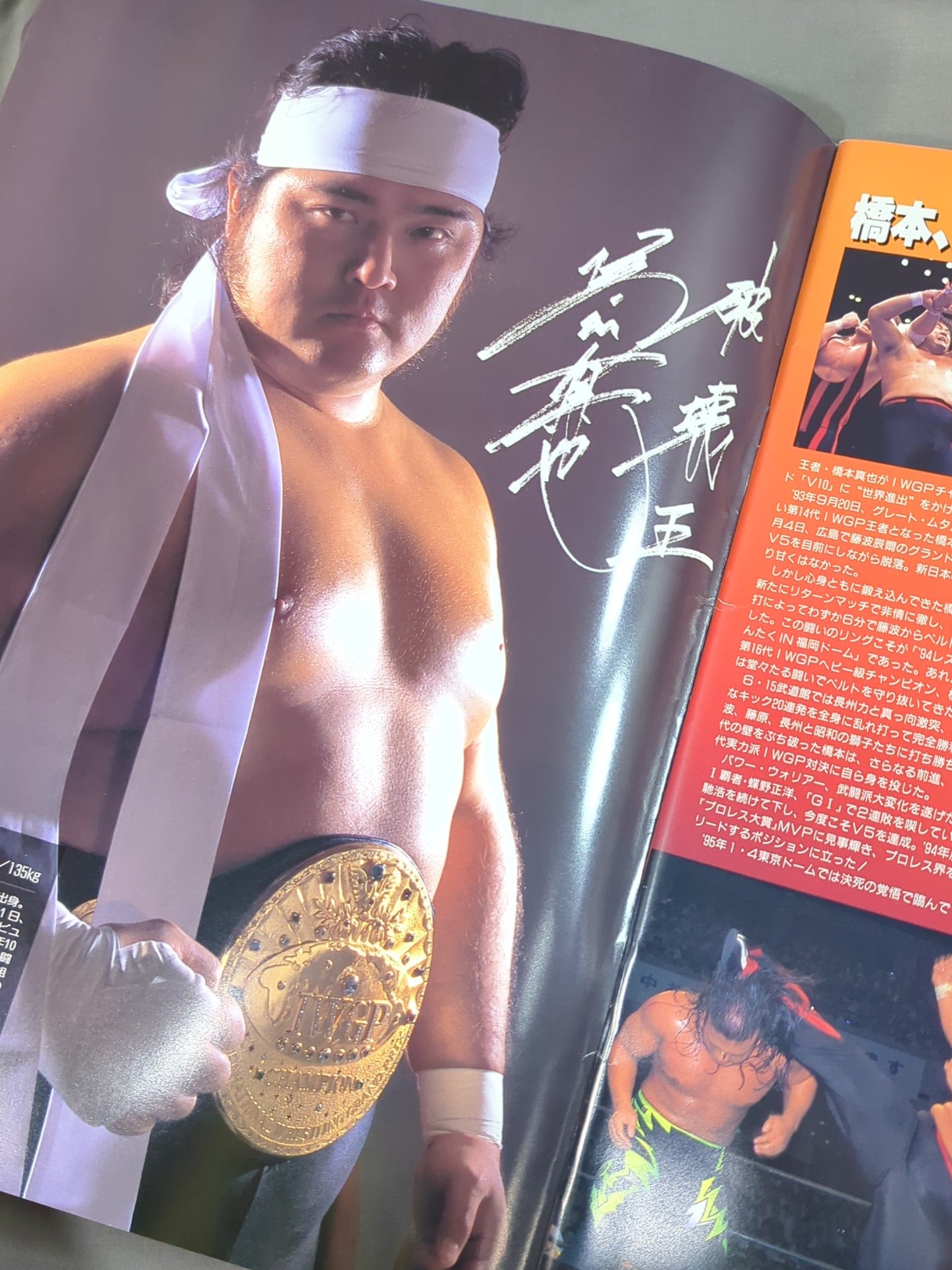 ★ Flair & Terry Participation ★ 95 Wrestling DONTAKU