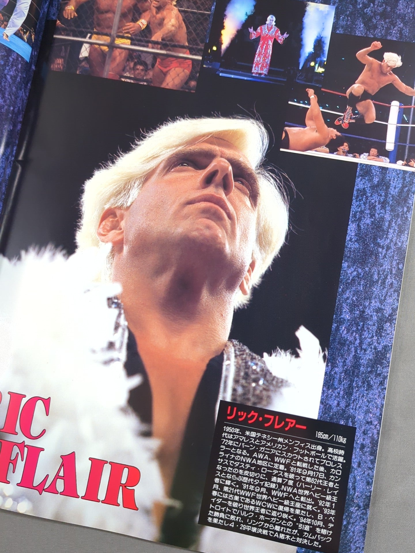★ Flair & Terry Participation ★ 95 Wrestling DONTAKU