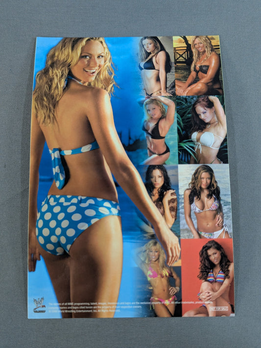 WWE DIVAS ステッカー