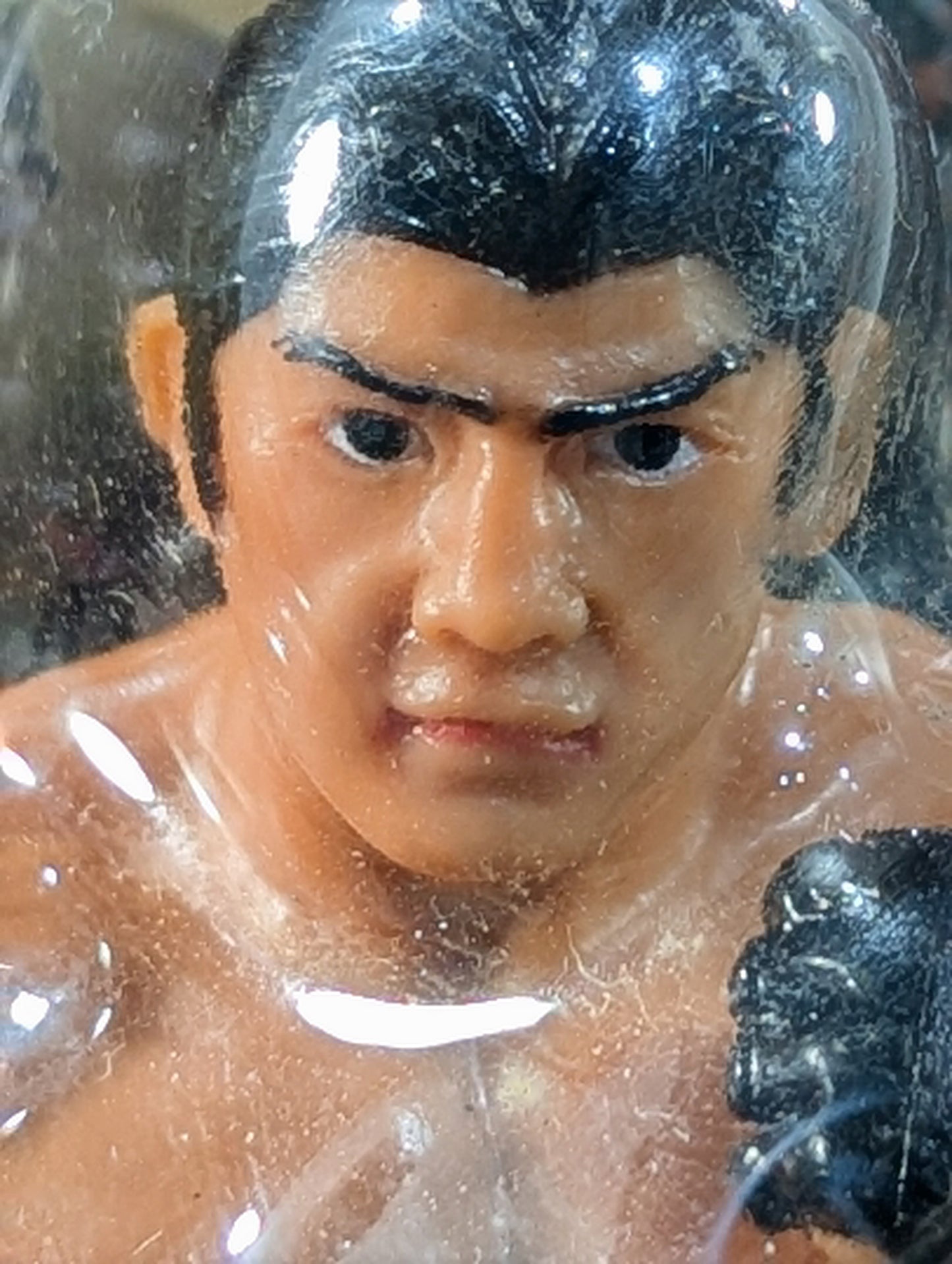 船木誠勝(黒髪MMA)