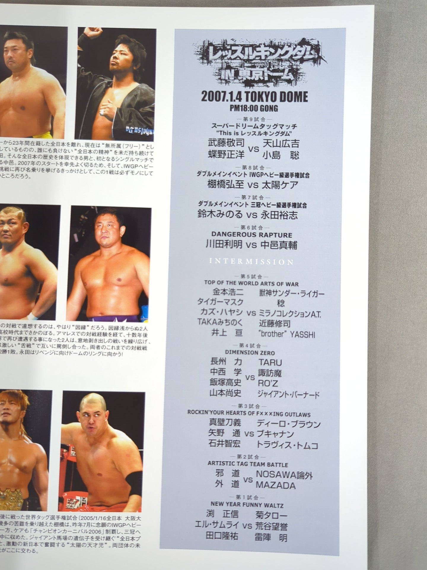 WRESTLE KINGDOM 1 / WRESTLEKINGDOM.1 IN TOKYO DOME