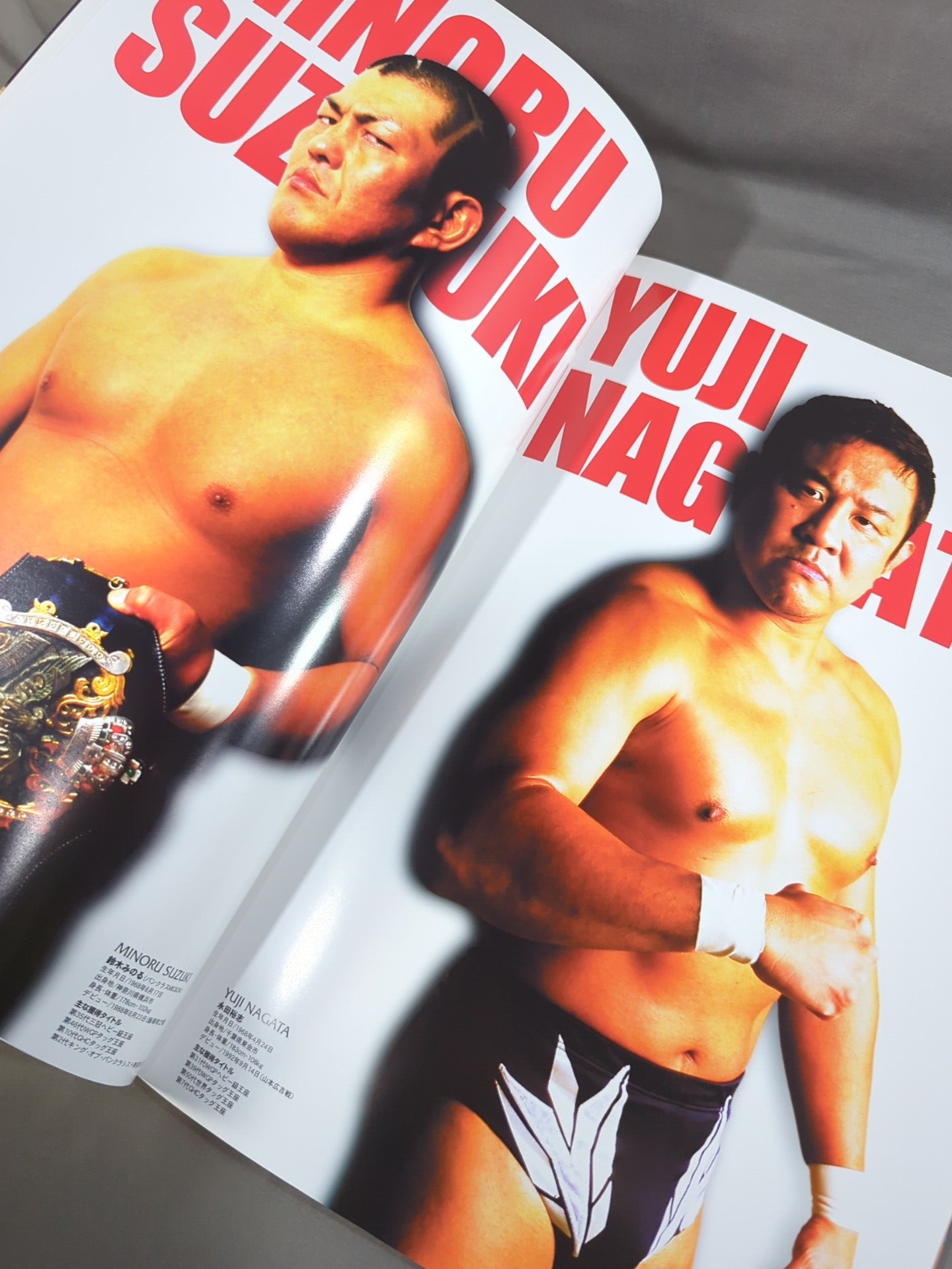 WRESTLE KINGDOM 1 / WRESTLEKINGDOM.1 IN TOKYO DOME