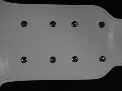 2代目IWGPインターコンチネンタル王座チャンピオンベルト