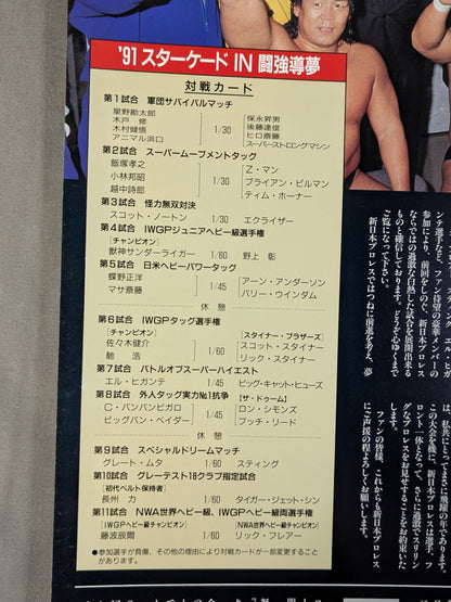 ★藤波vsフレアー NWA戦★ 91スターケードin闘強導夢