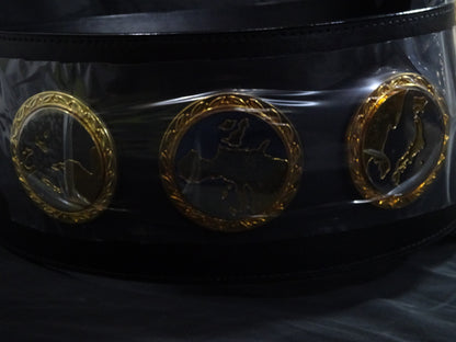 The first IWGP heavy weight championship belt