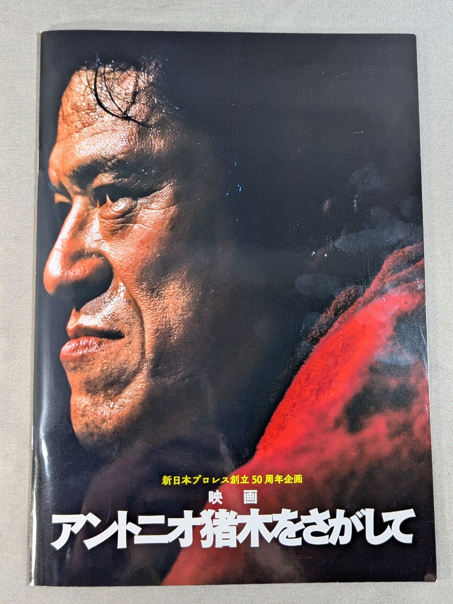 Finding Antonio Inoki 