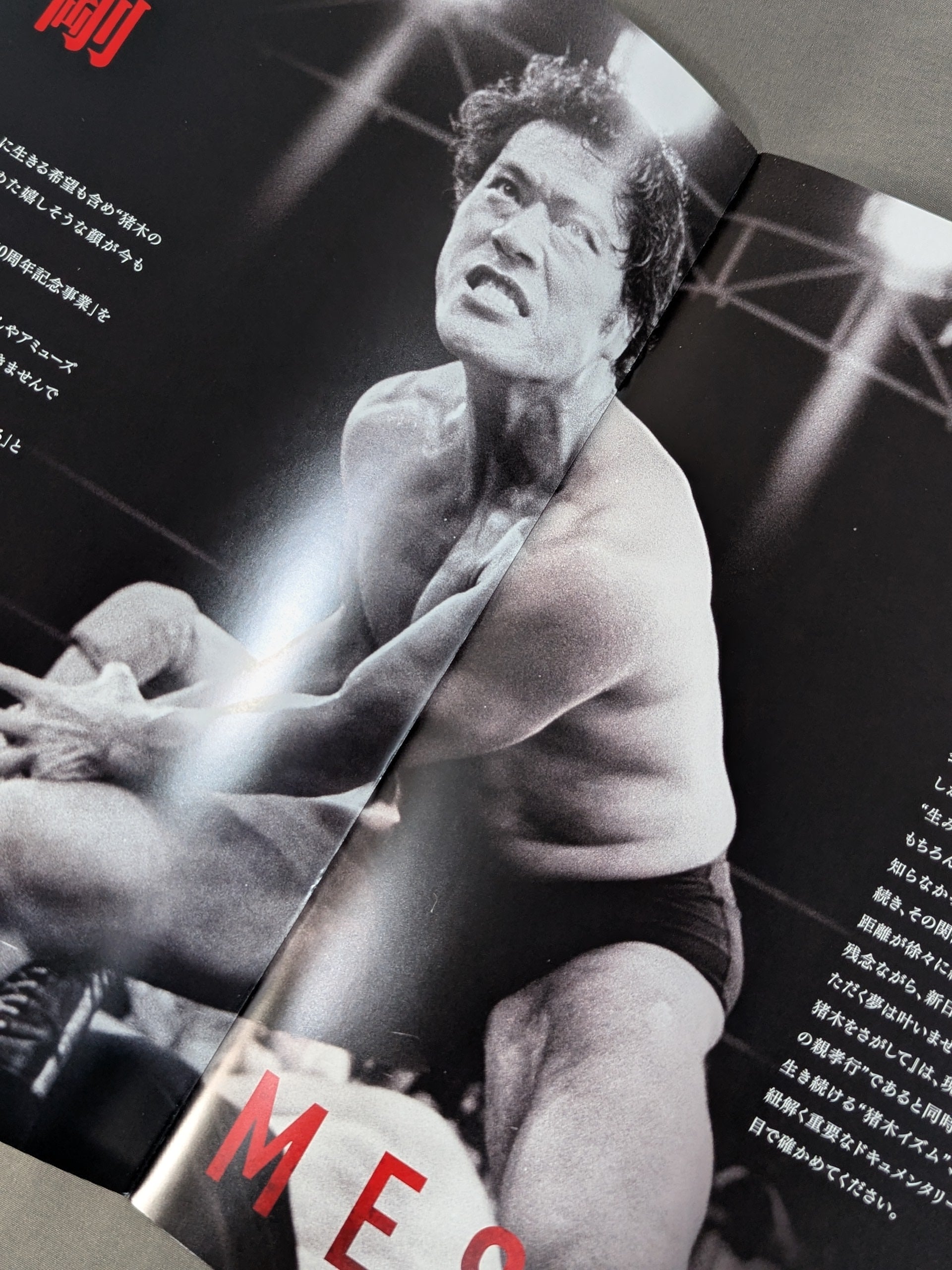 新日本プロレス　ポスター　1987年 醍醐グランドーム　アントニオ猪木 新日本プロレス ポスター 1987年 醍醐グランドーム アントニオ猪木