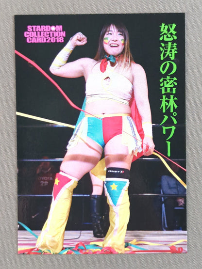 2018 STARDOM COLLECTION CARD ジャングル叫女(79)
