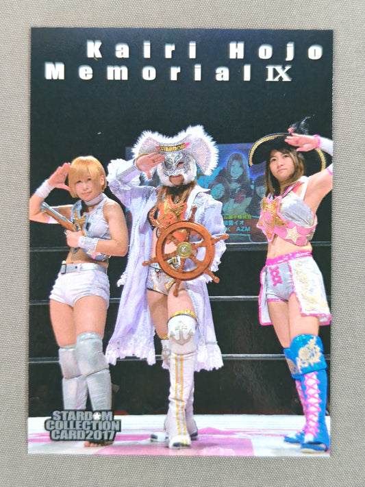2017 KAIRI HOJO MEMORIAL COLLECTION CARD Kairi Hojo (IX.)