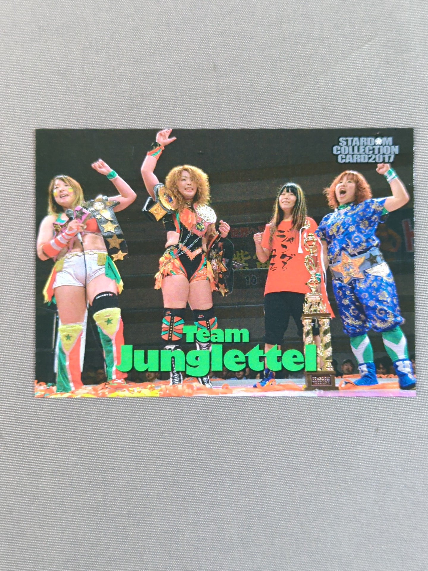 2017 STARDOM COLLECTION CARD Team Jungle (106)