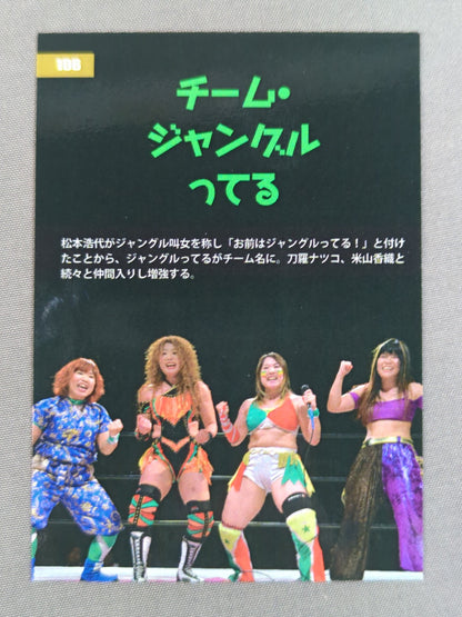 2017 STARDOM COLLECTION CARD Team Jungle (106)